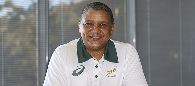 Coetzee appointed Bok coach