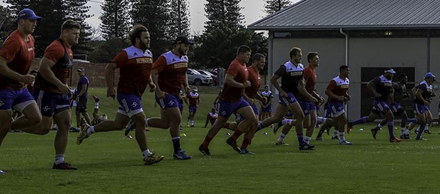 DHL Stormers wider squad training hard