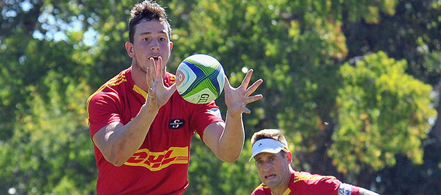 Schickerling and Van Dyk join DHL Stormers in New Zealand