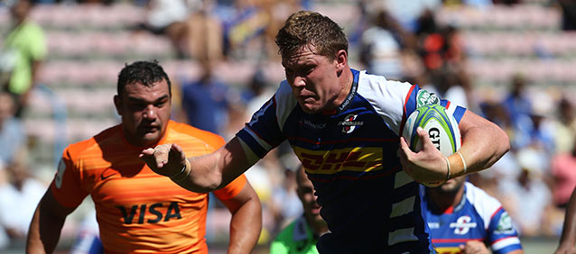 Wiese standing tall for DHL Stormers