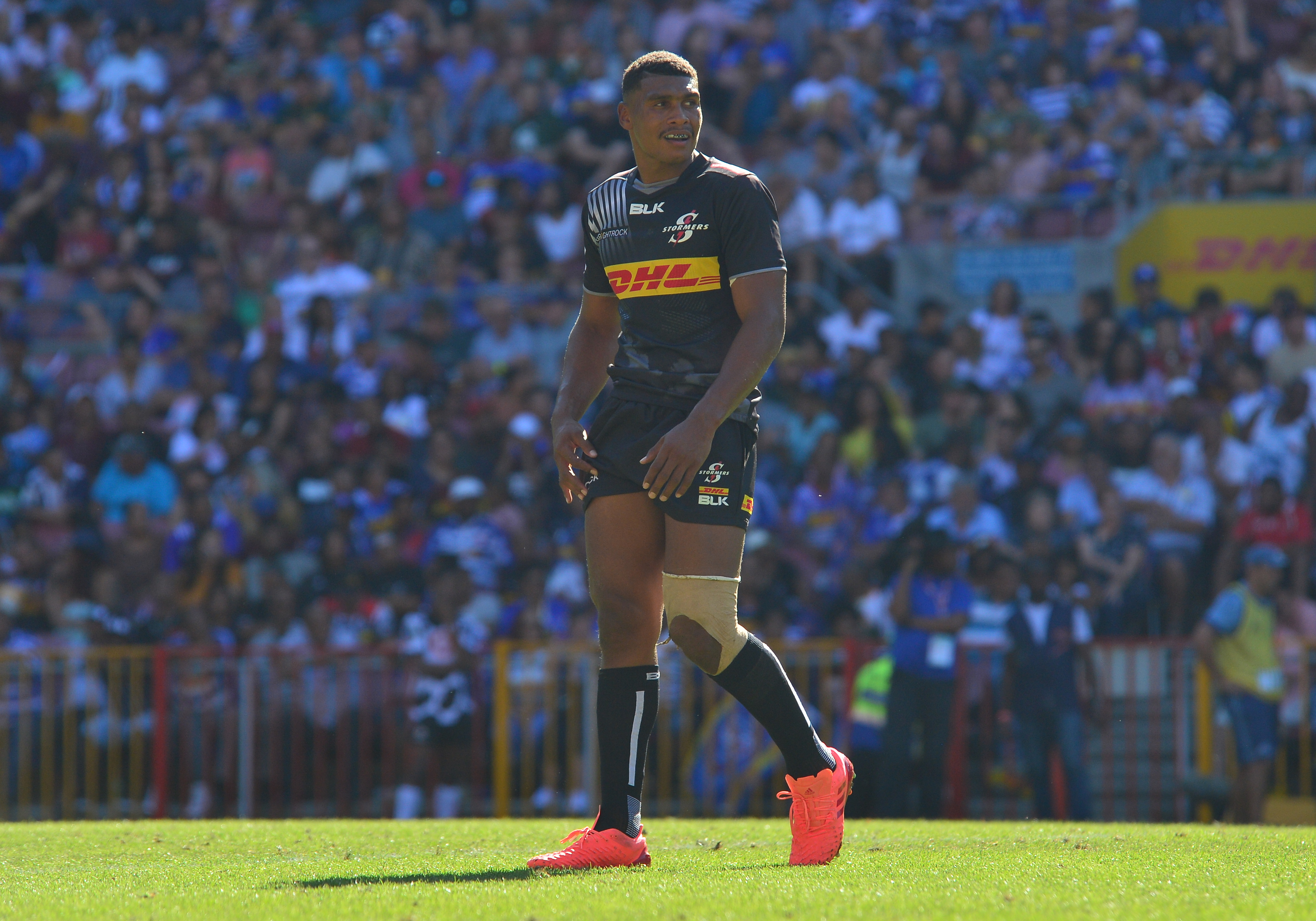 Willemse ready to ‘step up’ for DHL Stormers