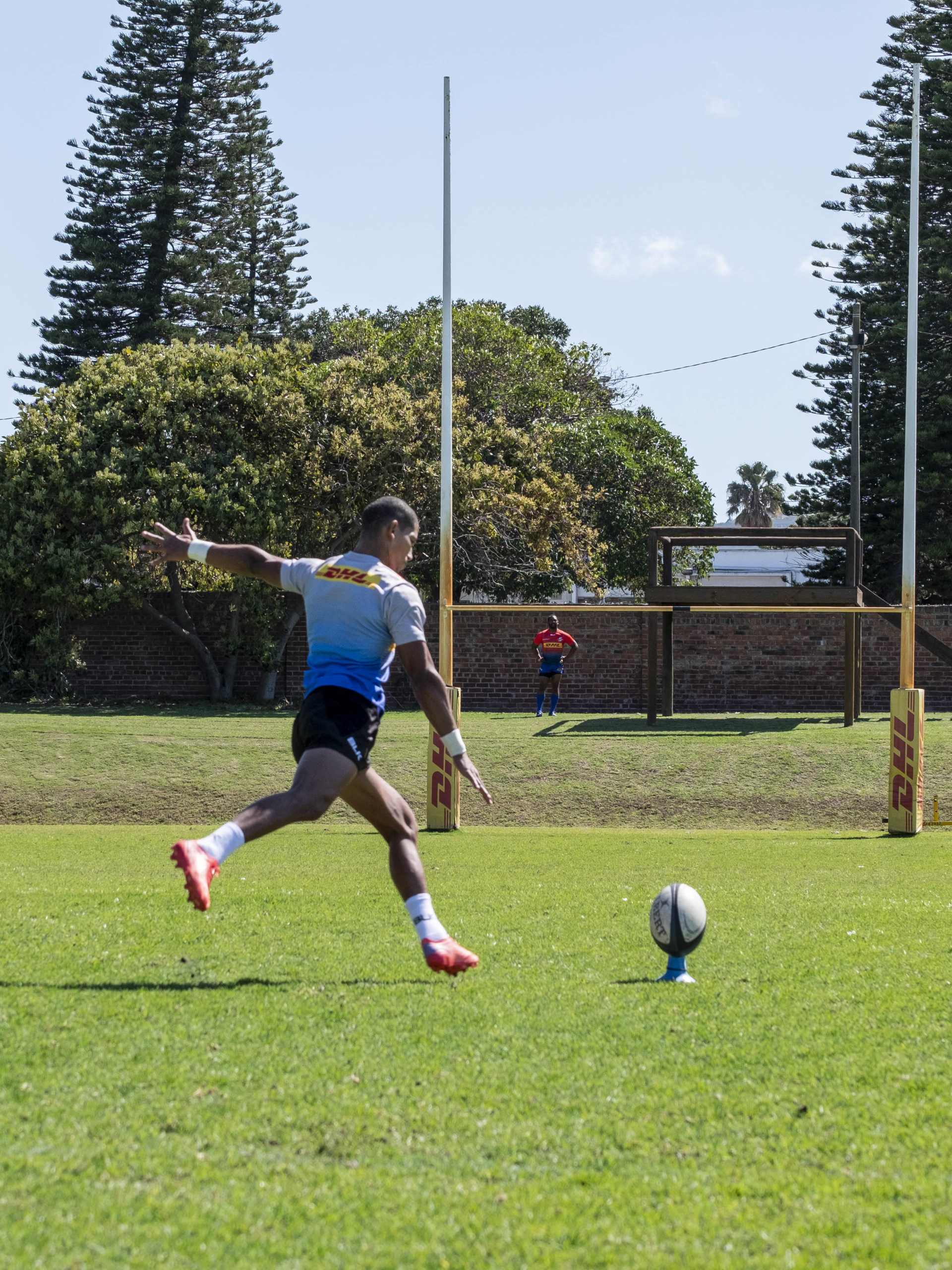 Libbok on debut for DHL Stormers in Treviso