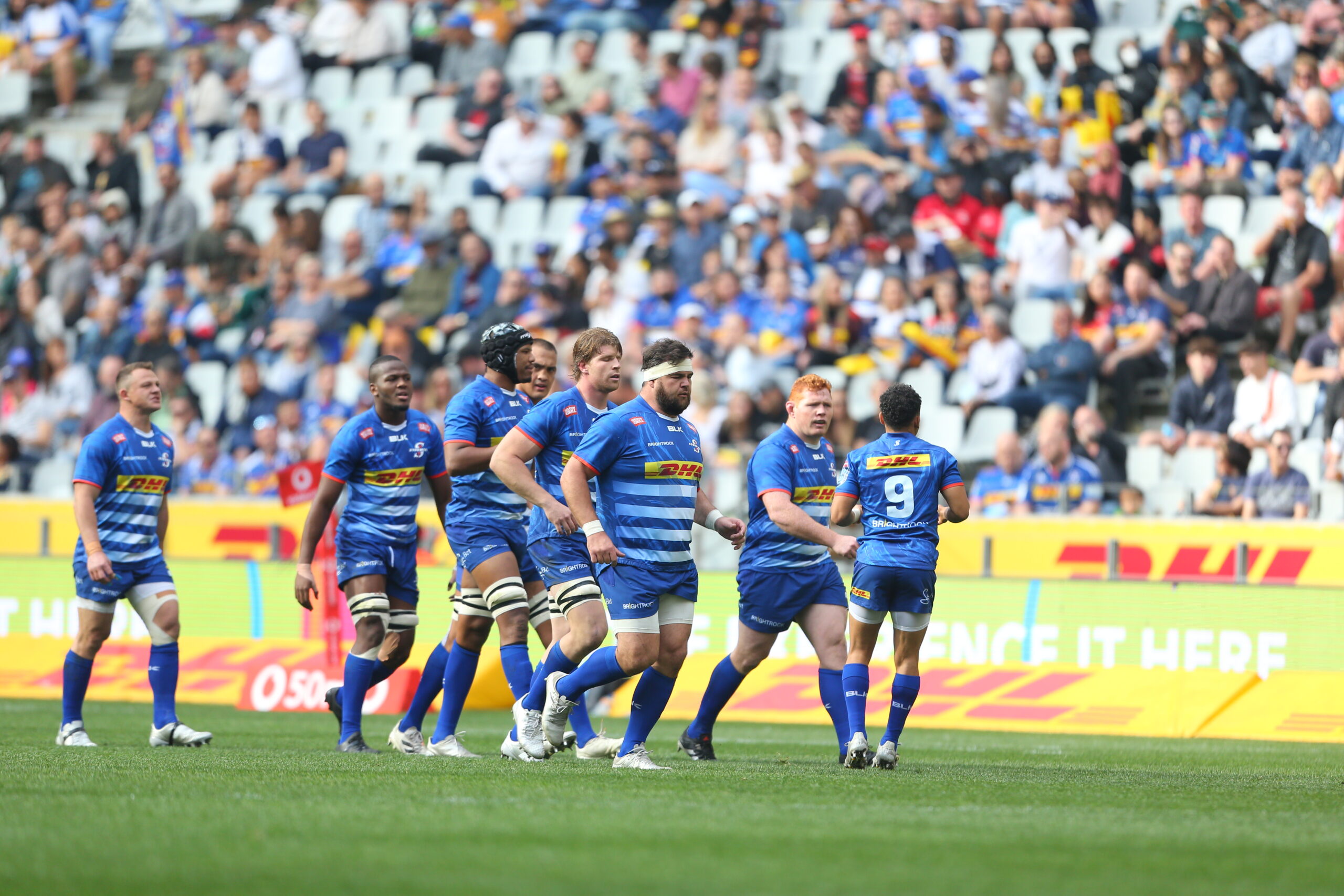 Malherbe becomes most-capped DHL Stormer