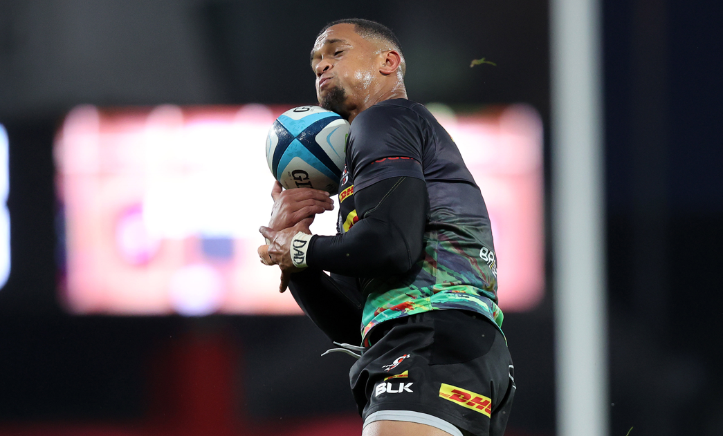 Zas delighted to reach DHL Stormers half-century