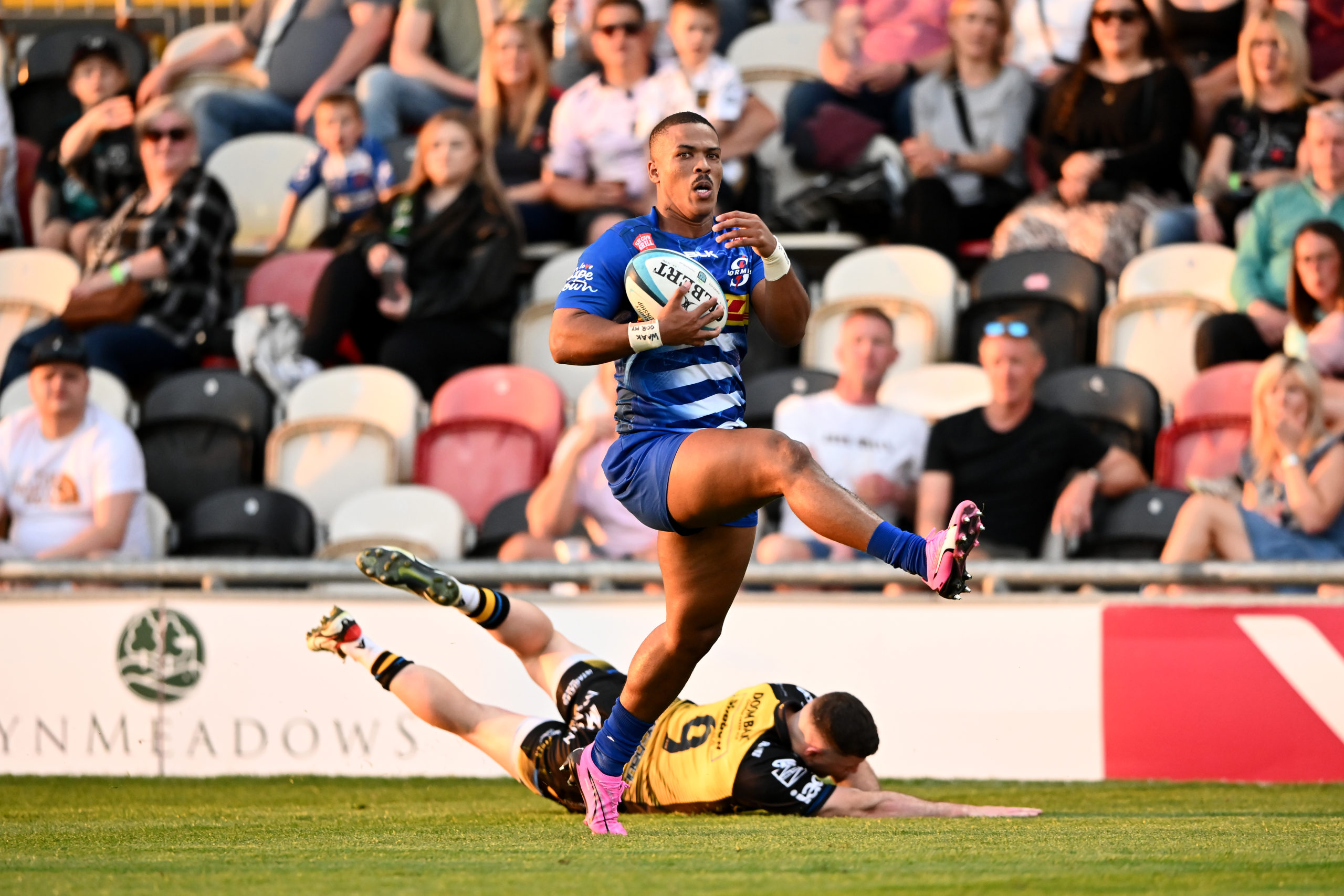 DHL Stormers will ‘keep fighting’