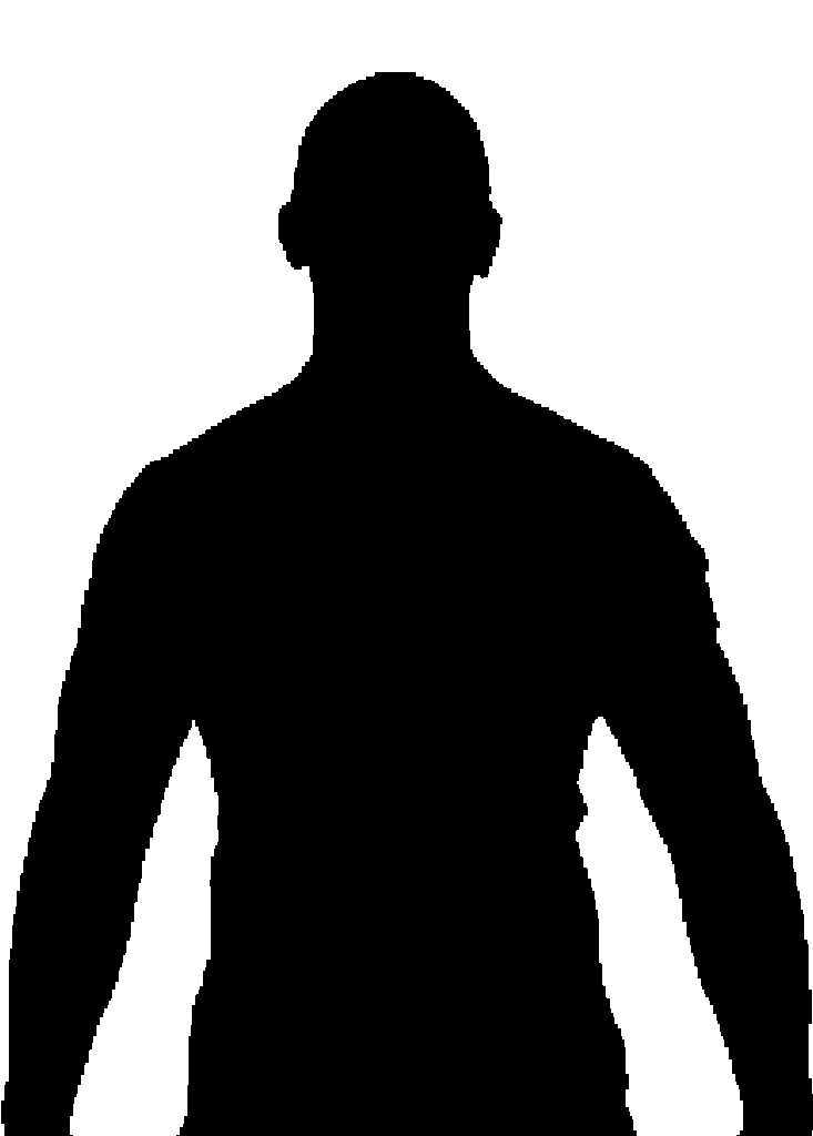 Leolin Zas