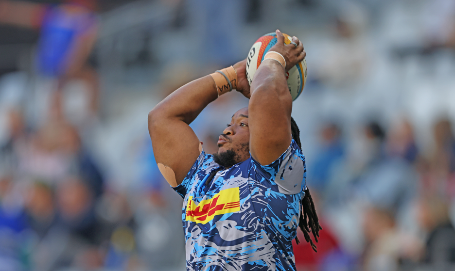 Dweba and Engelbrecht reach DHL Stormers 50 in Gqeberha