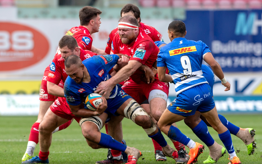 DHL Stormers claim full house in Llanelli