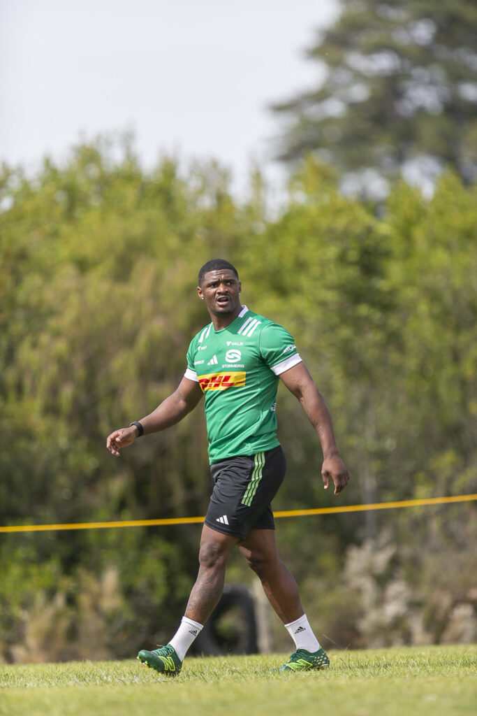 Gelant returns for DHL Stormers