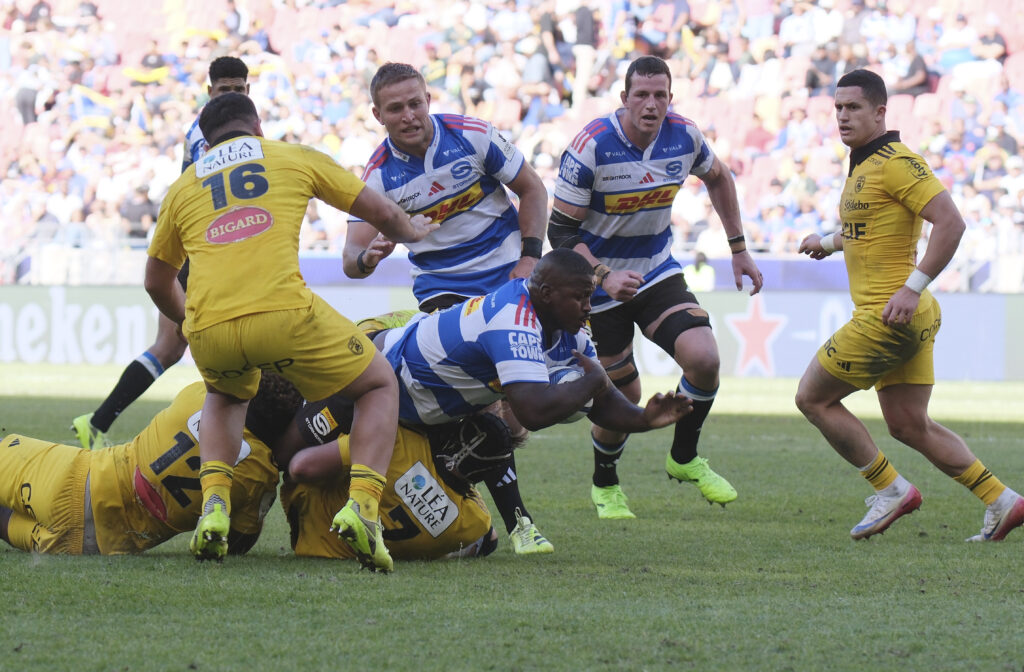 Sandi reaches DHL Stormers half-century