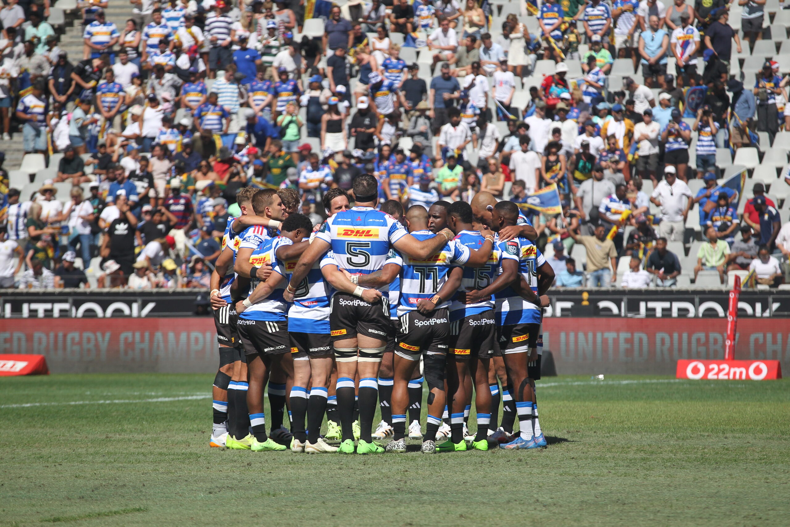 All you need to know: DHL Stormers v Cardiff Quarter-Final