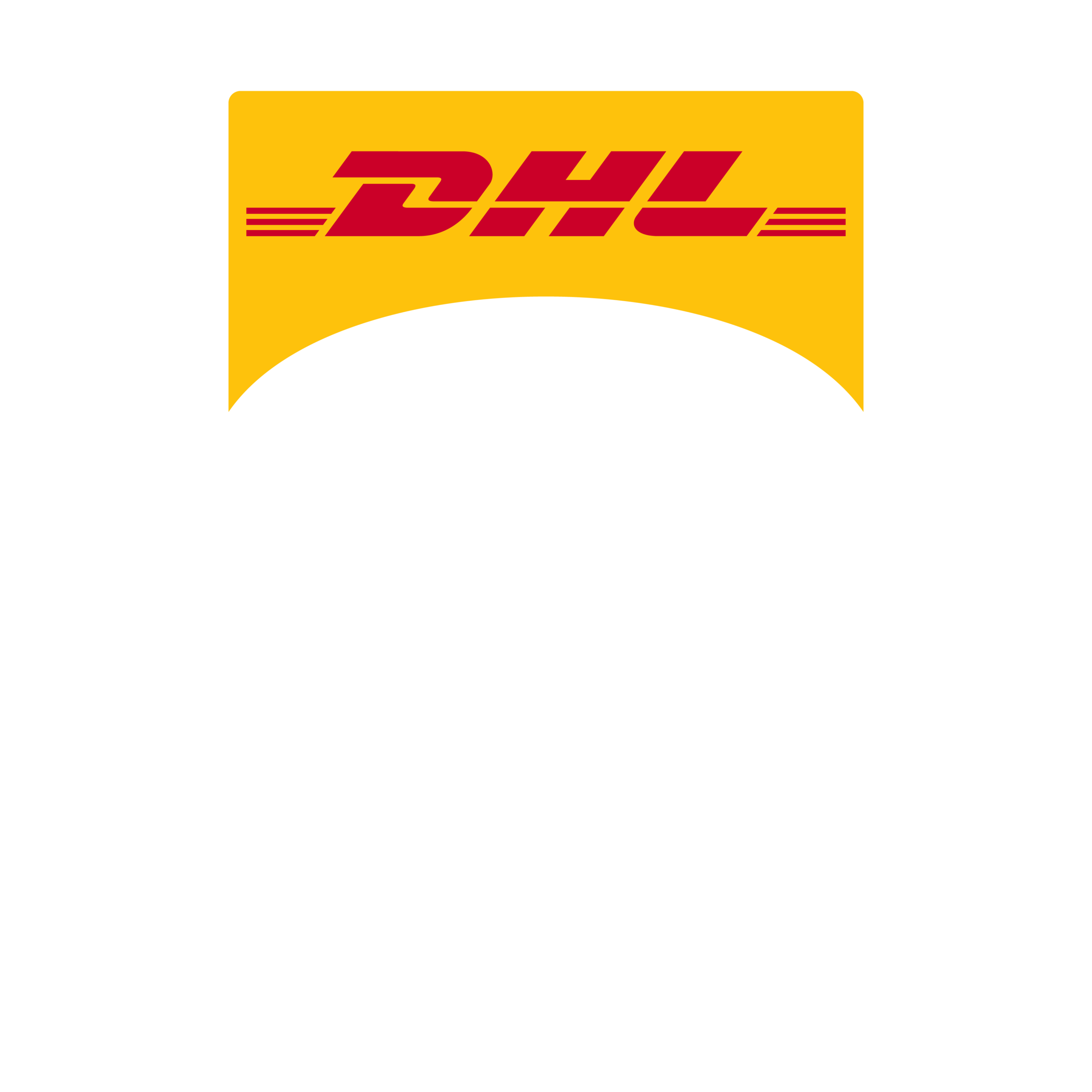 DHL Stormers Bolts