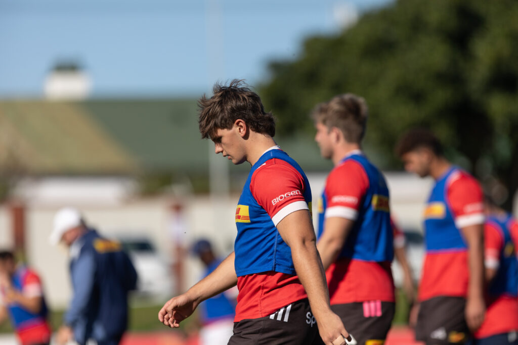 Muller on Carling Currie Cup debut at DHL Stadium